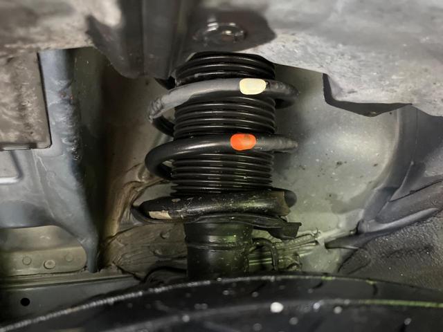 22039919_carP_l_18.jpg