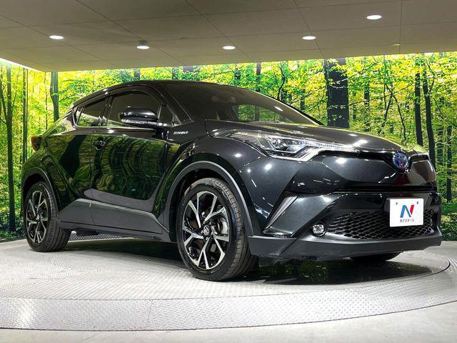 2ce9259db67f45b06a1173b36cea3b62.jpg