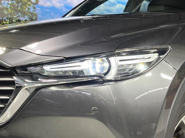 21620568_carP_l_7.jpg