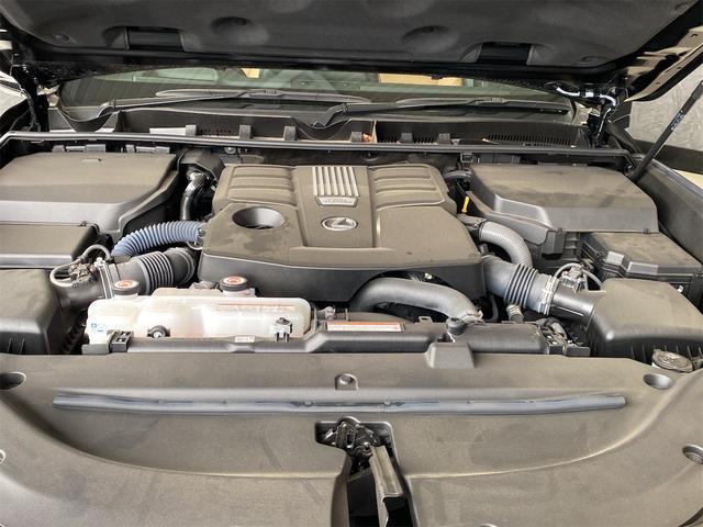 22595774_carP_l_12.jpg