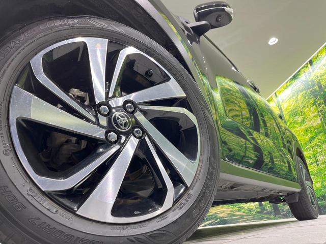 21874052_carP_l_7.jpg