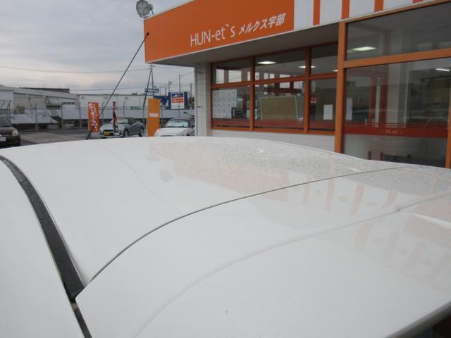 22163241_carP_l_19.jpg