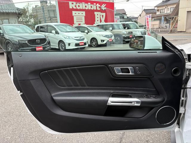 1003108A30260220W00217.jpg