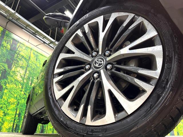 22525648_carP_l_7.jpg