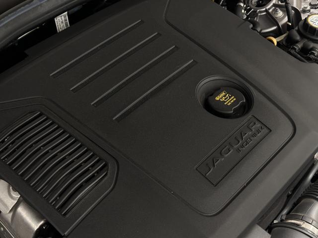 9570013A30260115W00618.jpg