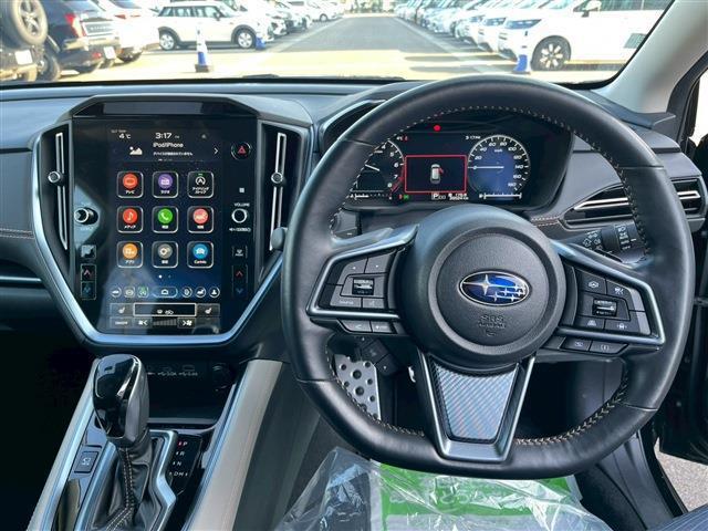21848115_carP_l_16.jpg
