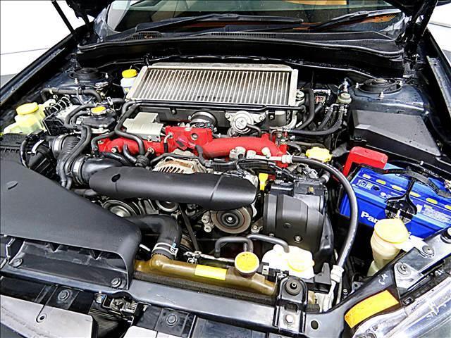 13590317_carP_l_17.jpg