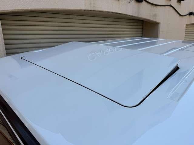 17045920_carP_l_17.jpg
