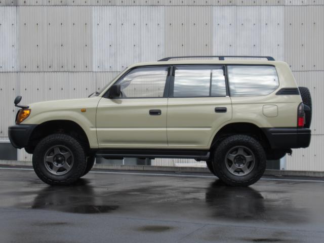 21237463_carP_l_15.jpg
