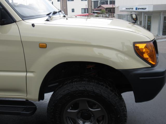 21237463_carP_l_16.jpg