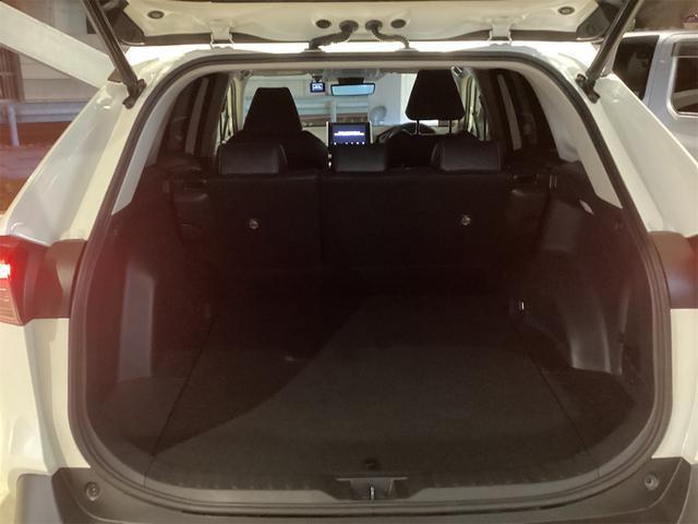 22461893_carP_l_18.jpg