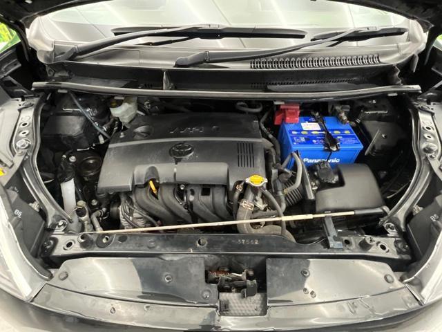 21201041_carP_l_18.jpg