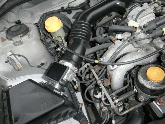 19989796_carP_l_6.jpg