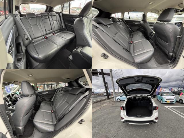 22487885_carP_l_14.jpg