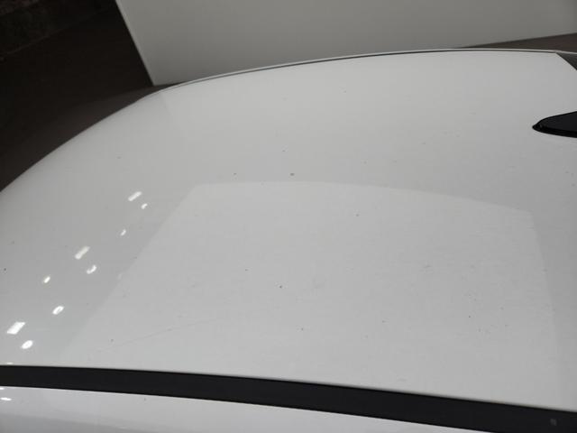 lotterental_210030757_Pqlpi_3.jpg
