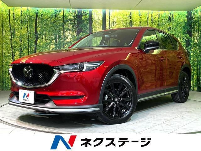 17557703_carP_l_1.jpg