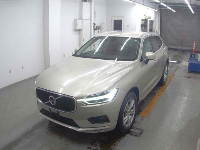 22619809_carP_l_1.jpg