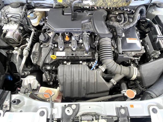 21853745_carP_l_12.jpg