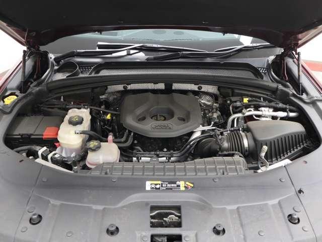 22147511_carP_l_5.jpg