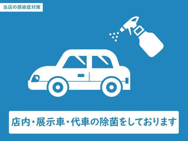 22505122_carP_l_8.jpg