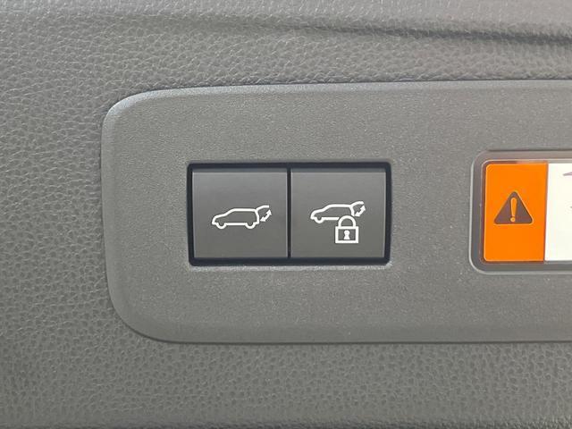 21235973_carP_l_14.jpg