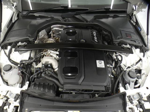 22875160_carP_l_18.jpg