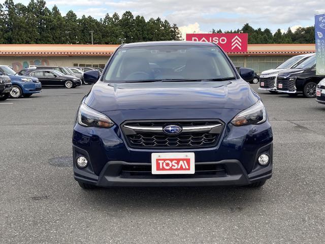 19579588_carP_l_4.jpg
