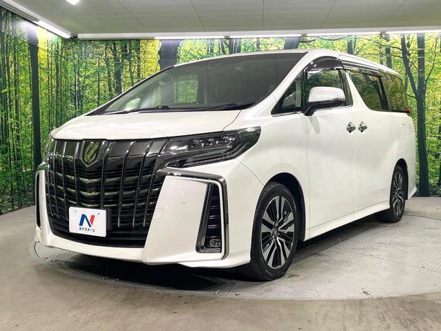 21873696_carP_l_12.jpg