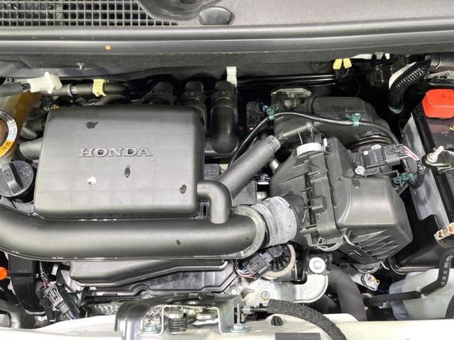 21965335_carP_l_16.jpg