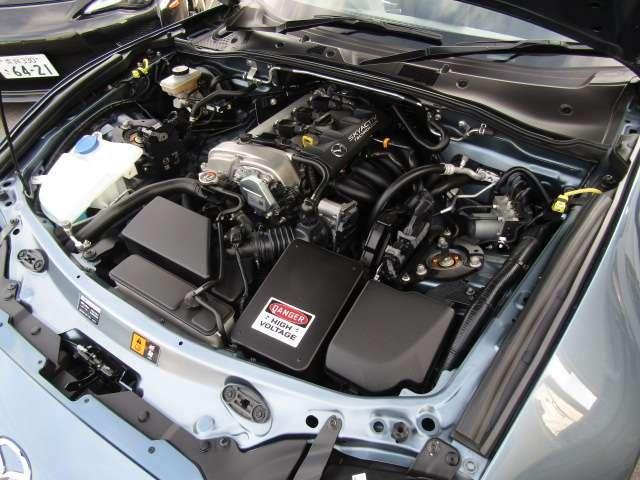 21733415_carP_l_12.jpg