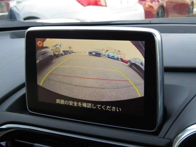 21733415_carP_l_19.jpg