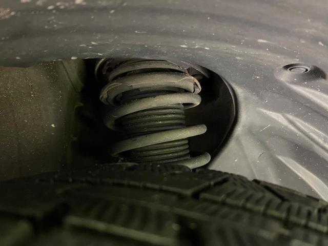 21726630_carP_l_20.jpg