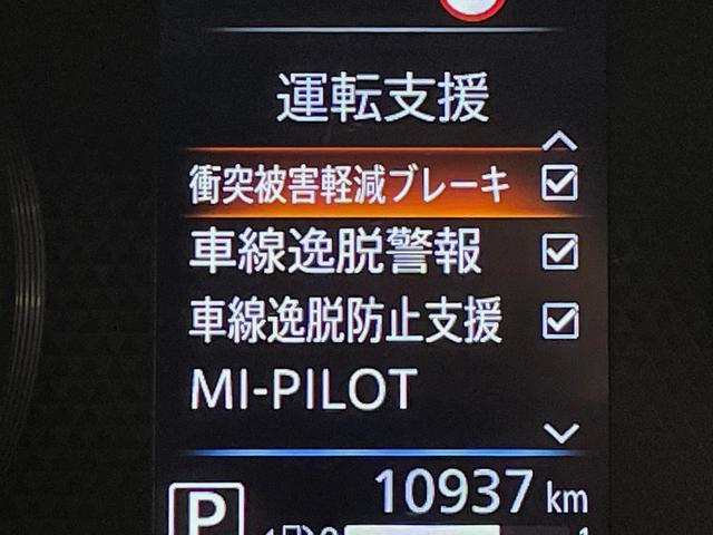 22449228_carP_l_10.jpg