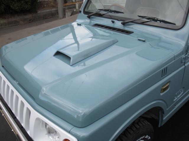 21966930_carP_l_5.jpg