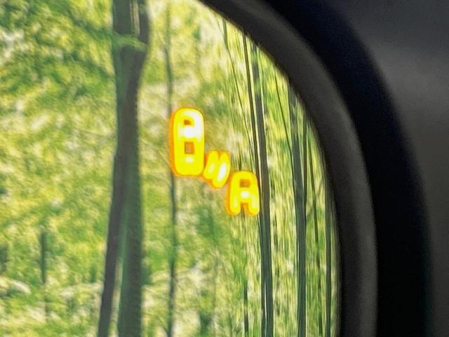 21747503_carP_l_13.jpg
