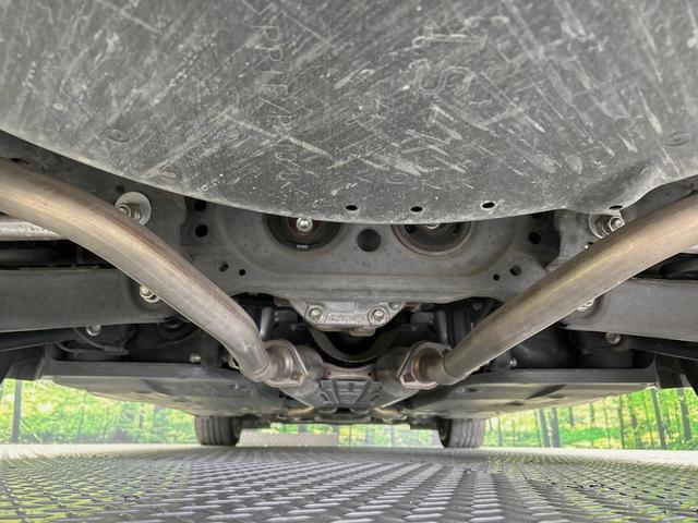 21747503_carP_l_18.jpg