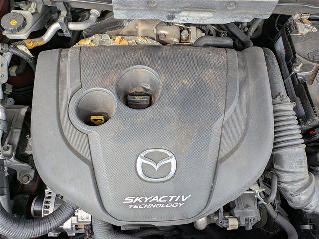 08.jpg
