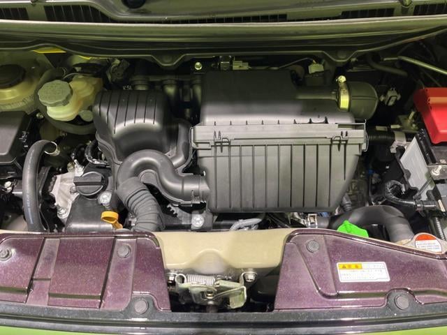 19567981_carP_l_16.jpg