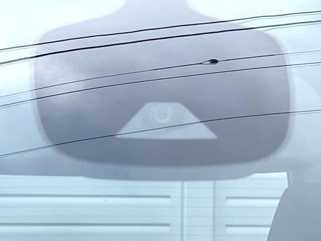 21391935_carP_l_13.jpg