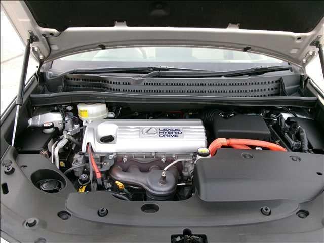 18755044_carP_l_18.jpg