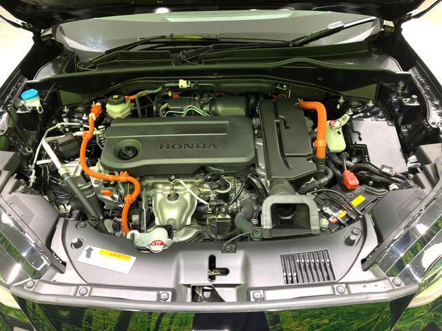 22525283_carP_l_18.jpg