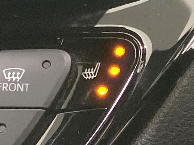 22429957_carP_l_14.jpg