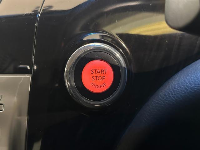 22443460_carP_l_6.jpg