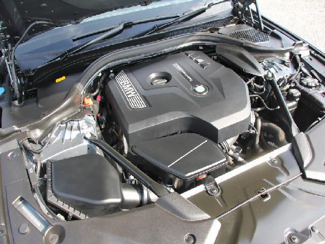 22141490_carP_l_4.jpg