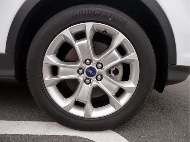 040110f5a327bd55e605772bbac14577.jpeg