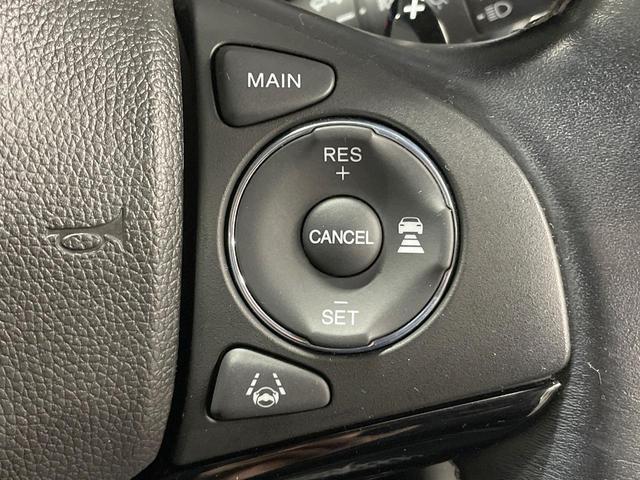 22040193_carP_l_10.jpg
