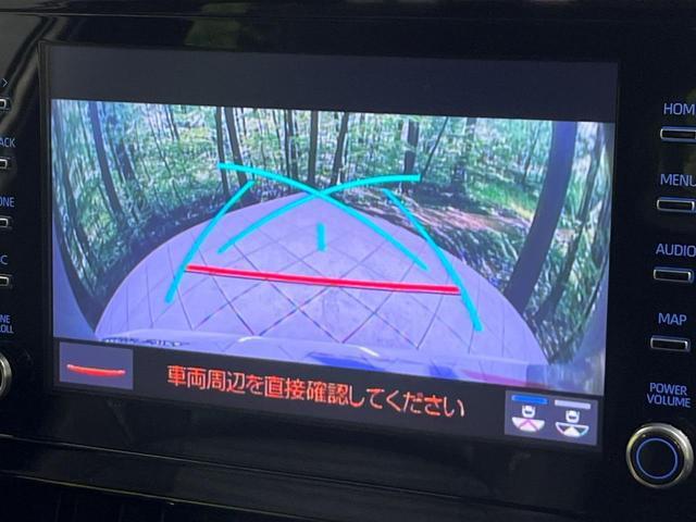 20503472_carP_l_4.jpg