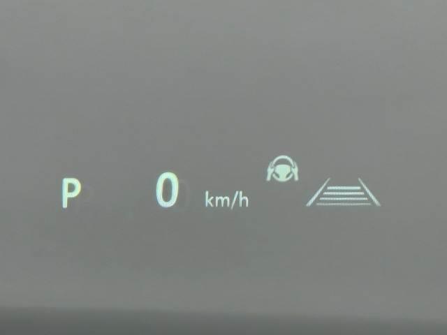 22145359_carP_l_5.jpg