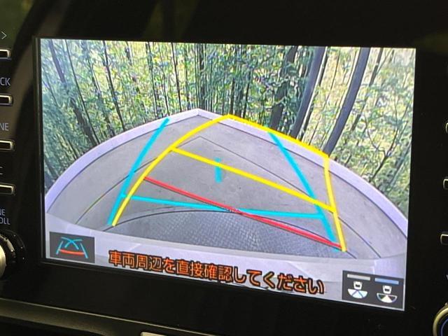 21095850_carP_l_10.jpg