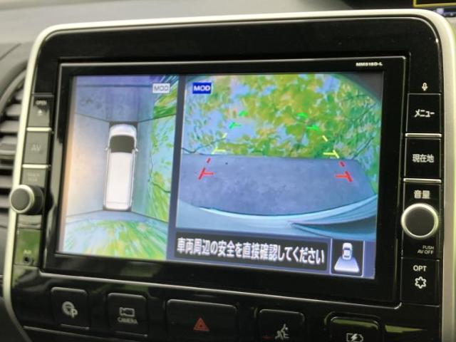 22538645_carP_l_8.jpg